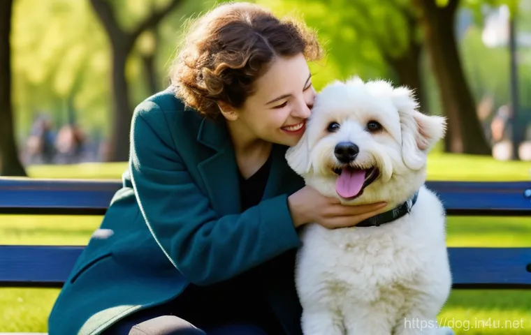 비숑프리제와 푸들 믹스 - A fluffy and adorable Puchon (Poodle and Bichon Frise mix) puppy, with curly white fur and bright, c...