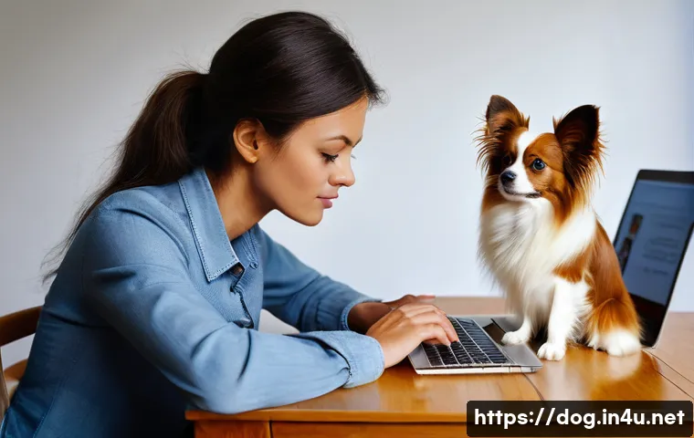 파피용의 사교성 관련 이미지 1